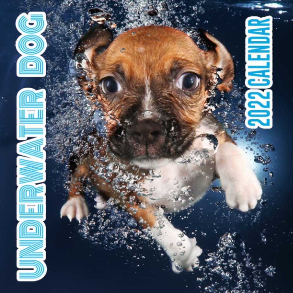 Underwater Dogs Calendar 2022 Underwater Dog 2022 Calendar: 12 Months Small Calendar Jan 2022 To Dec 2022  Gifts For Dog Lovers: Choco, Jayden: 9798791631305: Amazon.com: Books