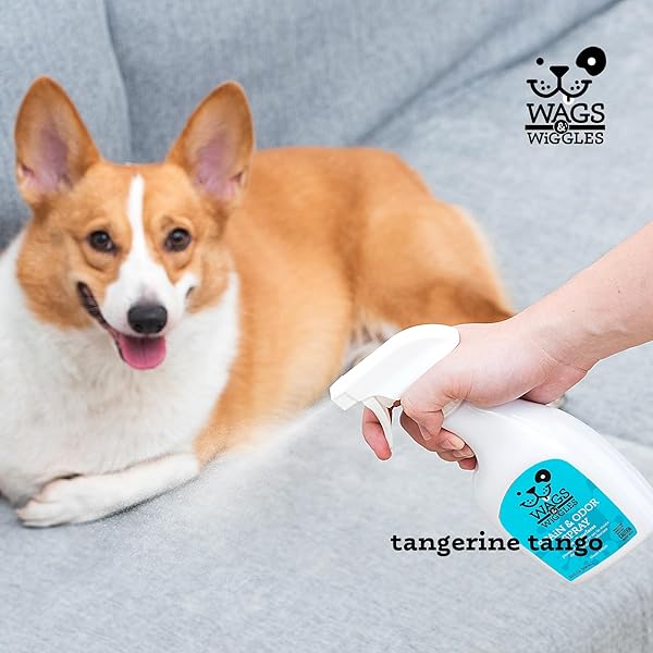 WAGS & WIGGLES STAIN & ODOR REMOVER SPRAY – PET CARPET CLEANER FOR STAINS, OXYGEN-POWERED CLEANER FOR DOG & CAT URINE, DEODORIZER WITH CLEAN SCENT, PET ODOR ELIMINATOR FOR HOME, 32 FL OZ