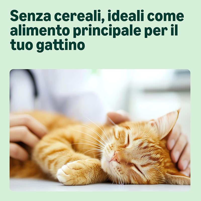 Cibo completo per gatti con ricetta senza cereali, gattino, con pollo fresco 3kg
