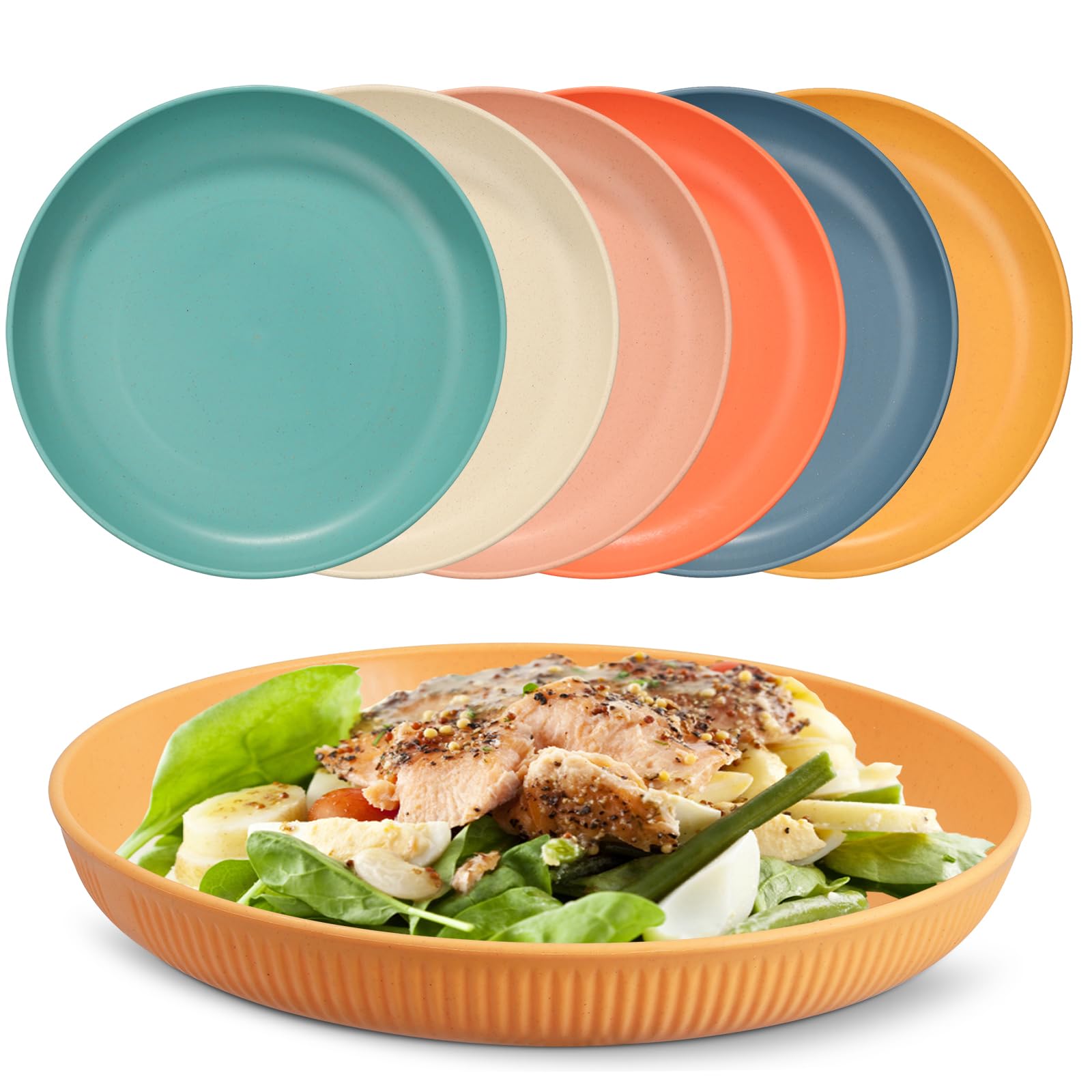 Chuboir Unbreakable Dinner Plates Set, Set of 6 Plastic Plates, 9 Inch Lightweight and Reusable Plates Perfect for Party, Picnics, Camping Home, Office, Microwave and Dishwasher Safe