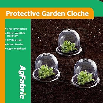Amazon.com : Large Garden Cloche Plant Cover (5 Pack