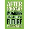 After Democracy: Imagining Our Political Future