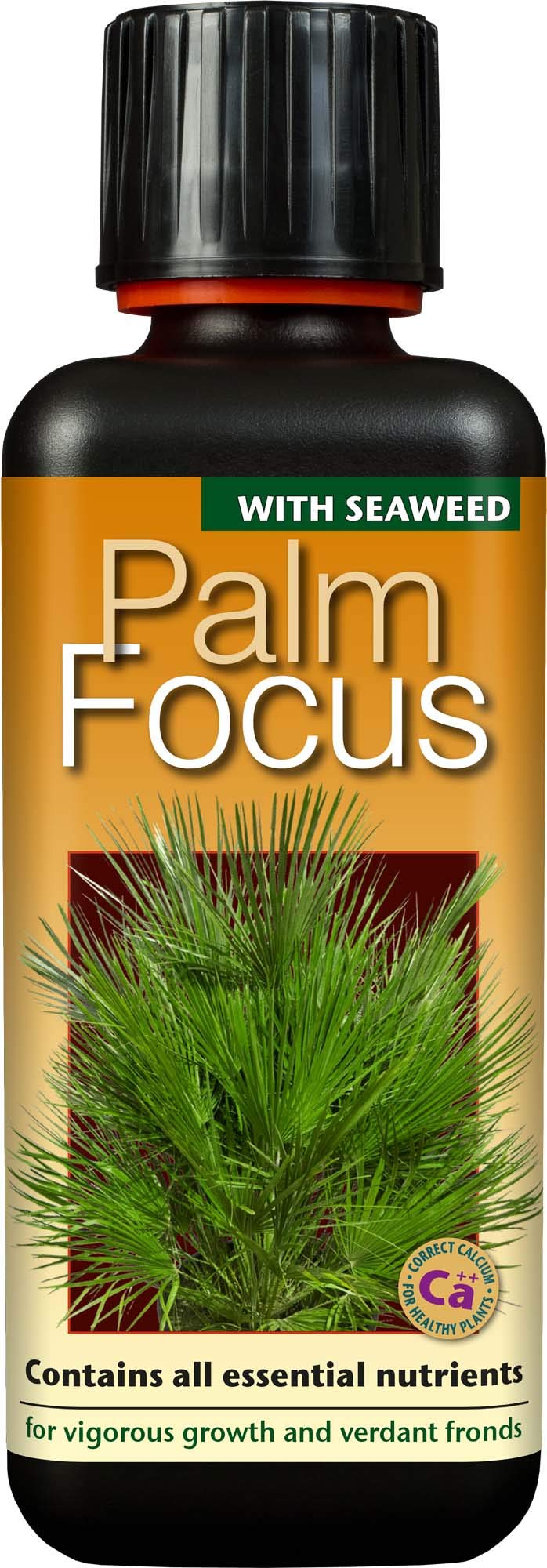 Growth Technology Ltd,Black Palm Focus 300 ml — image 1