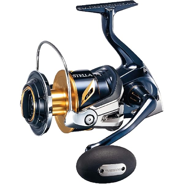Amazon.com : Shimano Reel 19 Stella SW 8000HG Japan Domestic  
