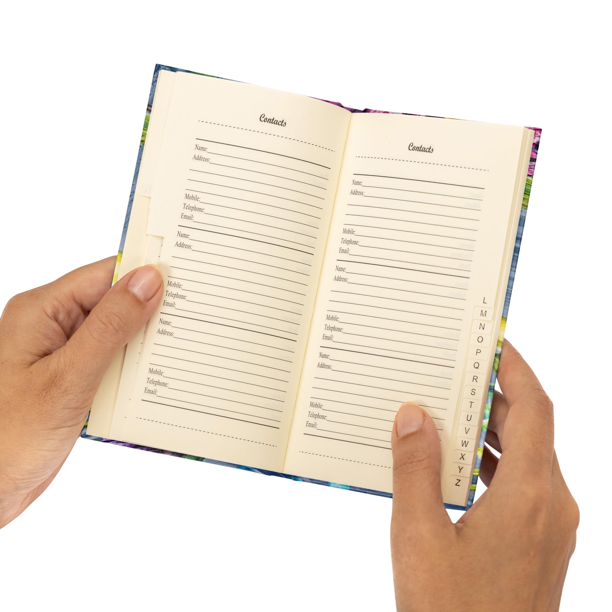 View 5