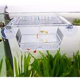 capetsma Fish Breeding Box, Acrylic Fish Isolation Box with Suction Cups, Aquarium Acclimation Hatchery Incubator for Baby Fishes Shrimp Clownfish and Guppy... Small Size (S)