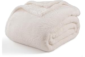 Berkshire Blanket Classic Extra-Fluffy™ Plush Blanket Queen Size, Soft Fuzzy Fluffy Long Hair Blanket for Couch Sofa Bed, Cream, 90x90 Inches