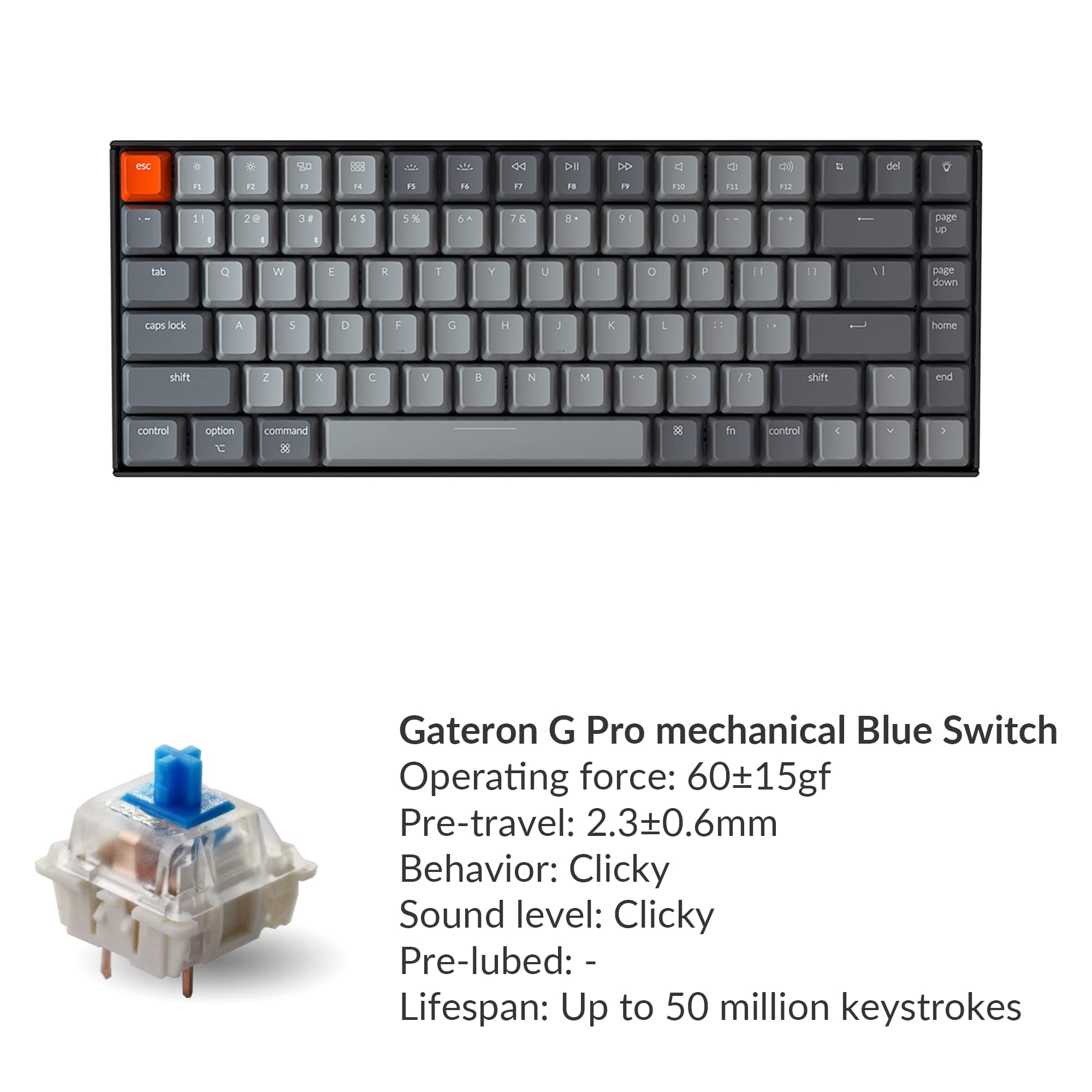 Keychron K2 75% Layout Bluetooth Mechanical Keyboard with Gateron G Pro Blue Switch/White LED Backlit/USB C/Anti Ghosting/N-Key Rollover/Compact 84 Key Wireless Keyboard for Mac Windows-Version 2