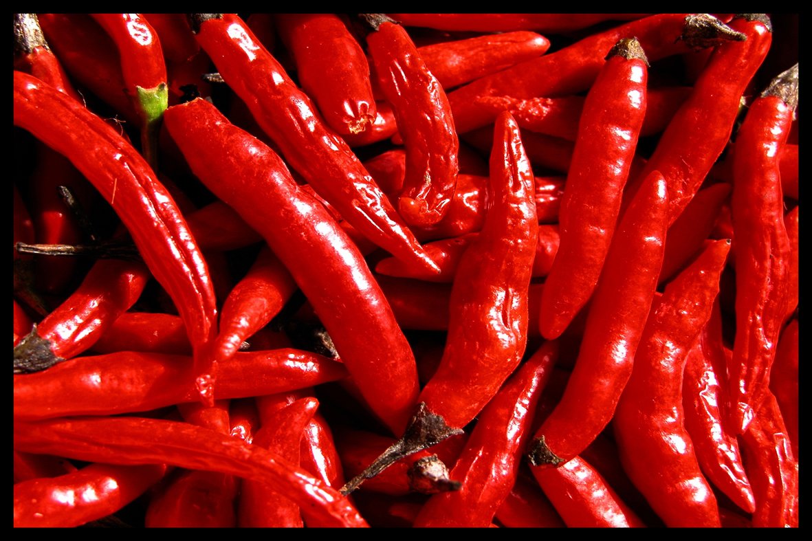 Digital Republic.Com 40224 Door Mat Polyamide PVC Plastic Phthalate-Free