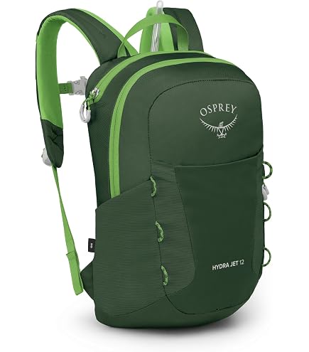 Osprey Jet 28L Kid's Hiking Backpack, Green Canopy : Sports & Outdoors
