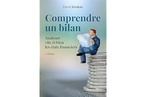 Comprendre un bilan: Analyser vite et bien les états financiers (VILLAGE MONDIAL) (French Edition)