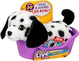 Little Live Pets Pepper the Dalmatian Mini Puppy with 20+ Sounds