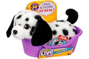 Little Live Pets My Really Real Puppy Mini Pepper The Dalmatian, Interactive Plush Toy with Basket, 20+ Sounds and Reactions, Puppy Toys for Kids