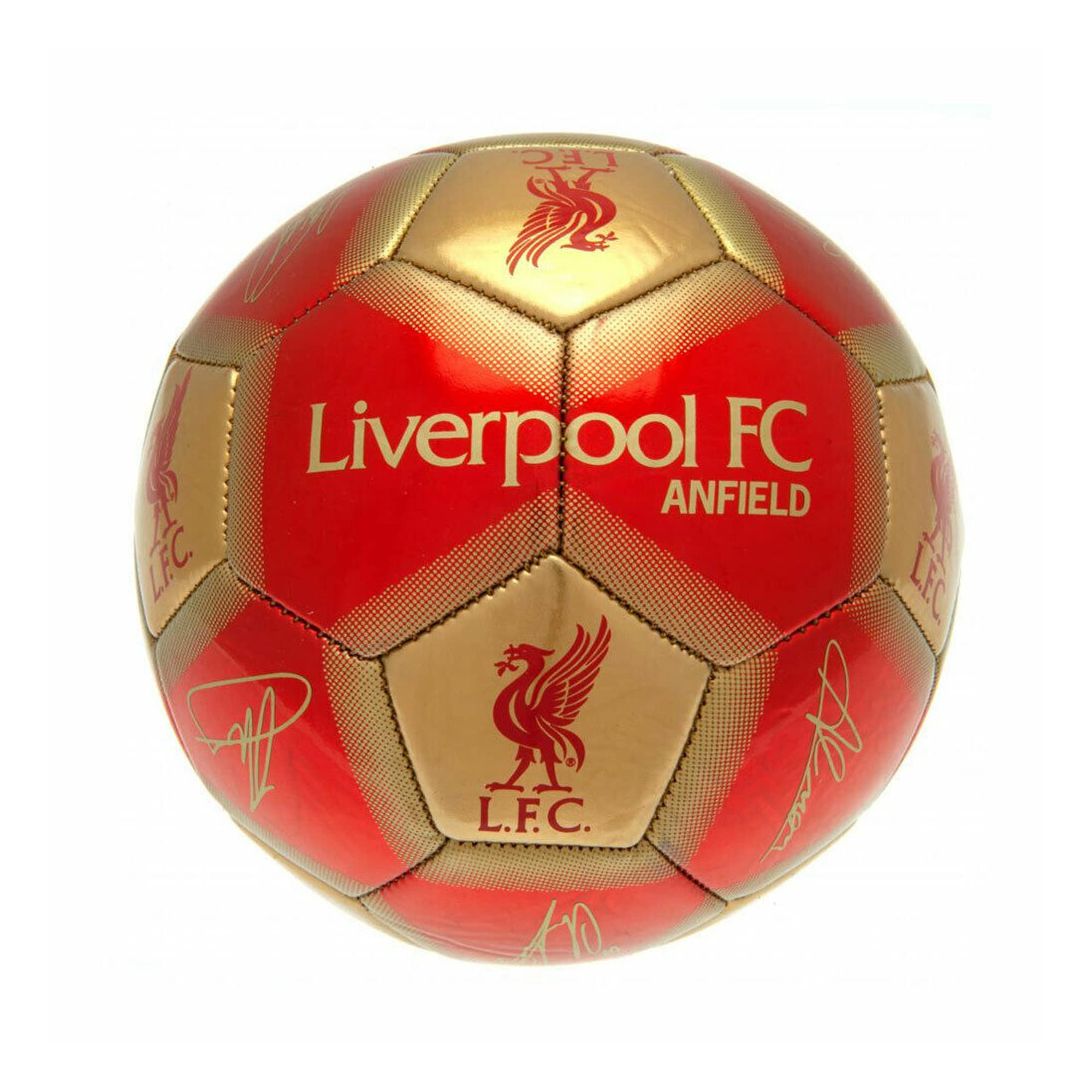 Liverpool FC Signature Skill Ball (One Size) (Red/Gold)