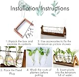 XXXFLOWER Desktop Propagation Station 5 Glass Bulbs with Wooden Stand view 6