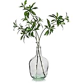 Hewory Large Glass Vase for Decor, 12in Clear Tall Farmhouse Decorative Floor Vase, Round Bubble Balloon Glass Jug Vases for Coffee Table Fireplace Mantel Entryway Living Room Bedroom Kitchen