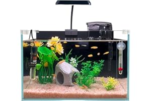 CICK SEED 3.4-Gallon Ultra-Clear Low-Iron Betta Fish Tank Kit with Waterfall Filter, Full-Spectrum LED Light, Heater, Hideaway, Plants, Thermometer, and pH Test