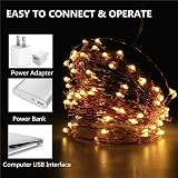 Makion Led Fairy Lights 10M 100 LED USB Warm White Copper Wire 8 Modes view 5