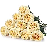 Daifunli 10pcs Real Touch Peonies Artificial Flowers, Faux Austin Rose with Long Stem Look Real Fake Flower for Christmas Valentines Arrangement Wedding Party Home Kitchen Decor(Champagne)