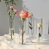 20 Pcs Glass Cylinder Bud Vases for Centerpieces, Birthday Party Wedding Centerpiece Table Decorations, Home Decor, Small Cylinder Living Bud Vases in Bulk for Flowers