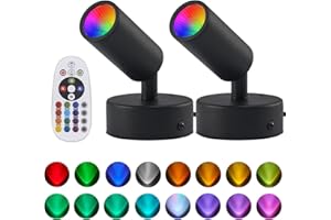 Delbarton 2 Pack LED Spot Lights Indoor Spot Lights Indoor Accent Lighting, RGBW Color Changing Up Lights Indoor Remote Control Plant Spotlight Decorative Lights (Black)