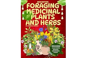 Foraging Medicinal Plants and Herbs: Basic Guide Book to Identify, Harvest, Prepare, Use and Store Wild Foods and Healing Herbs of North America (Colored pictures).