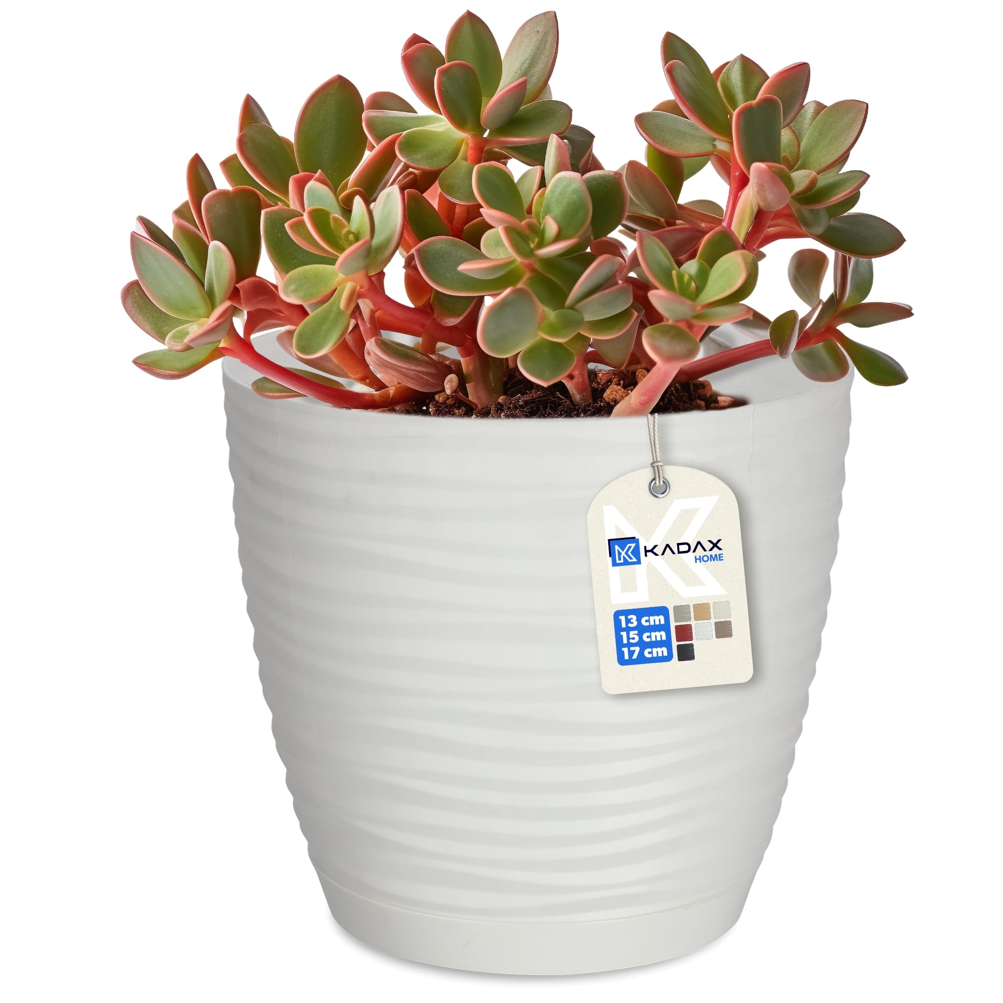 KADAX Flower Pot, Plastic Plant Pot with Saucer, Indoor Planter for Houseplants, Herbs, Lightweight Flowerpot for Living Room, Office (⌀15 cm, White)