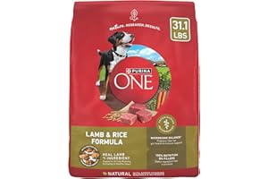 Purina ONE Dry Dog Food Lamb and Rice Formula - 31.1 lb. Bag