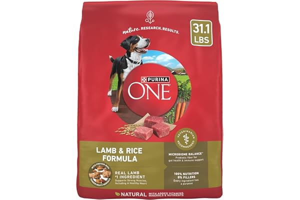 Purina ONE Dry Dog Food Lamb and Rice Formula, 31.1 lb product