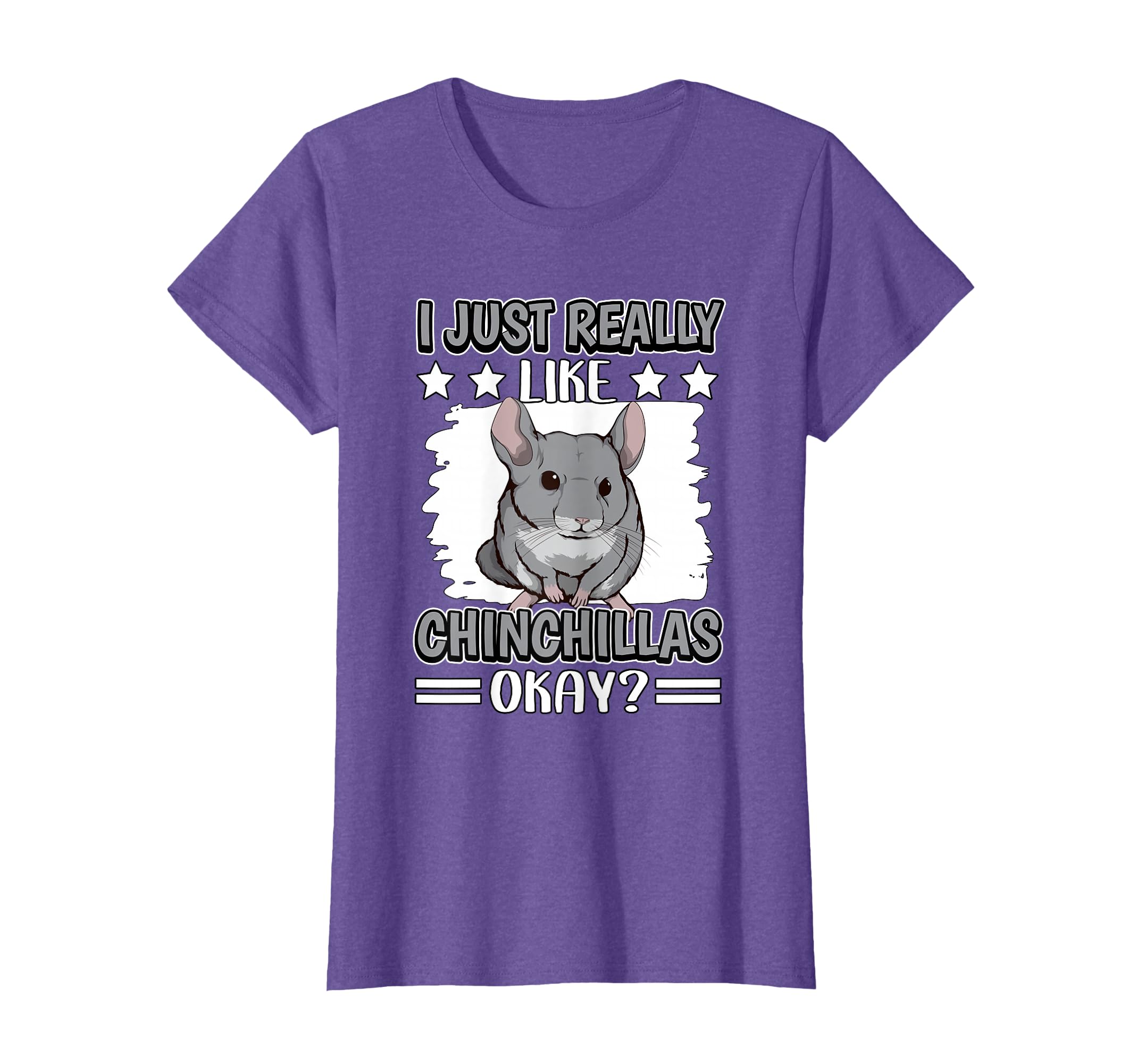 Chinchilla Quote Rodent I Just Really Like Chinchillas T-Shirt