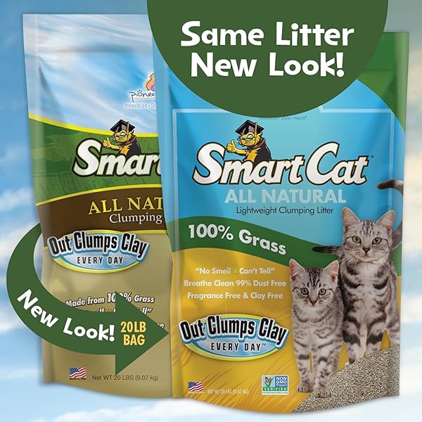SMARTCAT ALL NATURAL CLUMPING CAT LITTER, 10 POUND (160OZ 1 PACK) – ALTERNATIVE TO CLAY AND PELLET LITTER – CHEMICAL AND 99% DUST FREE – UNSCENTED AND LIGHTWEIGHT