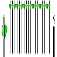 NorthSpoor 31" 18Pcs Archery Carbon Arrows Practice Hunting Arrow with Removable Tips Shaft Spine 500 for Both Compound Bow and Recurve Bows