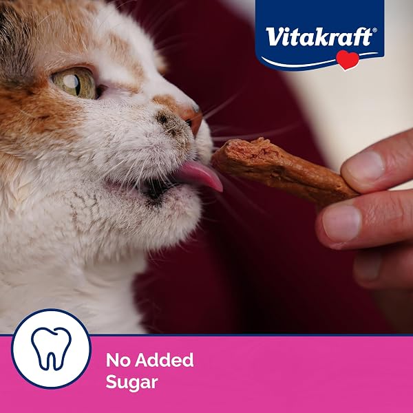 VITAKRAFT PURRSTICKS FOR CATS – NUTRITIOUS & HEALTHY SOFT CAT TREATS – GENTLY OVEN ROASTED MEAT STICKS FOR CATS W/ 70% MEAT – EASY-TO-SERVE CAT CHEW STICKS (SALMON, 24 PACK)