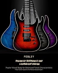 Fesley Electric Guitar, Full Size Solid Body
