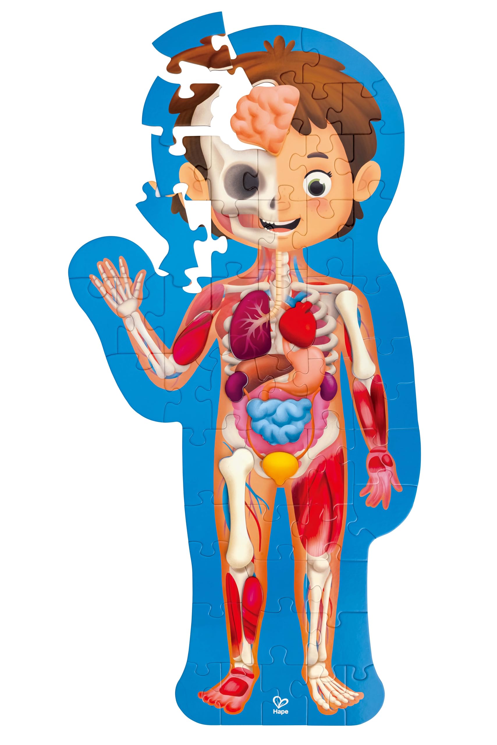 Hape Human Body Puzzle | Educational Wooden Puzzle | Anatomy for Children | Includes 3D Organs | For 3 Years +