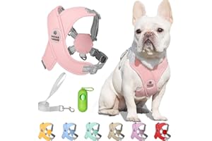 Patas Lague Dog Harness with Leash Adjustable Soft Padded Step-in Dog Vest No Choke No Pull Reflective for Small Medium Dogs with Poop Bags and Dispenser, Solid and No-chew, Pink M