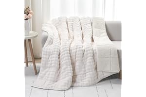 Cottonblue Weighted Blanket 15lbs for Adults, Fluffy Bubble Sherpa Fleece Weighted Blankets for Queen Size Bed, Cute Fuzzy Warm Heavy Blanket for Calming & Sleeping, 60"x80", Cream White