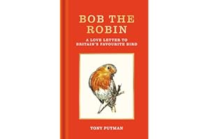 Bob the Robin: A love letter to Britain’s favourite bird
