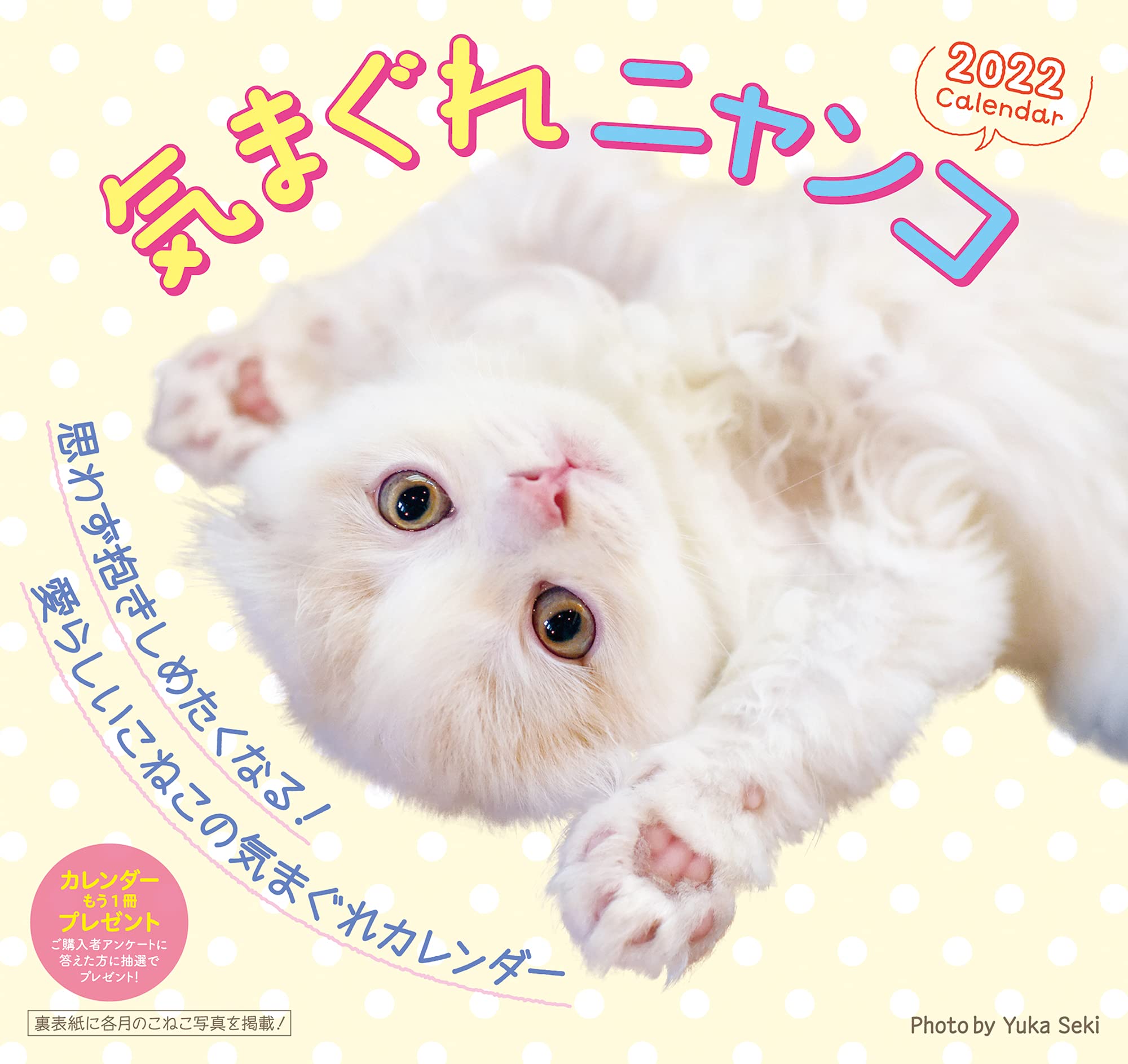 22気まぐれ小柴カレンダー カレンダー