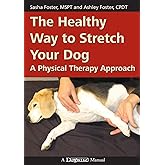 The Healthy Way to Stretch Your Dog: A Physical Therapy Approach
