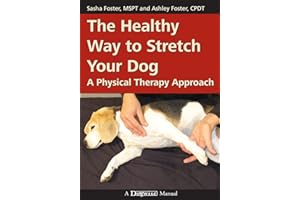 The Healthy Way to Stretch Your Dog: A Physical Therapy Approach