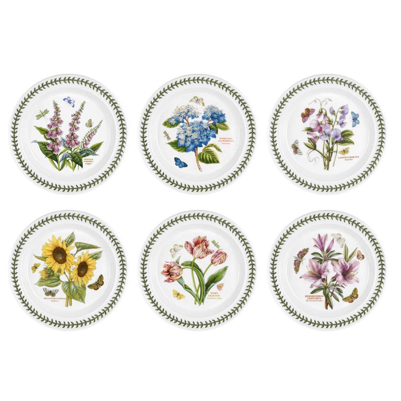 Botanic Garden Portmeirion 10" Dinner Plates - Set of 6