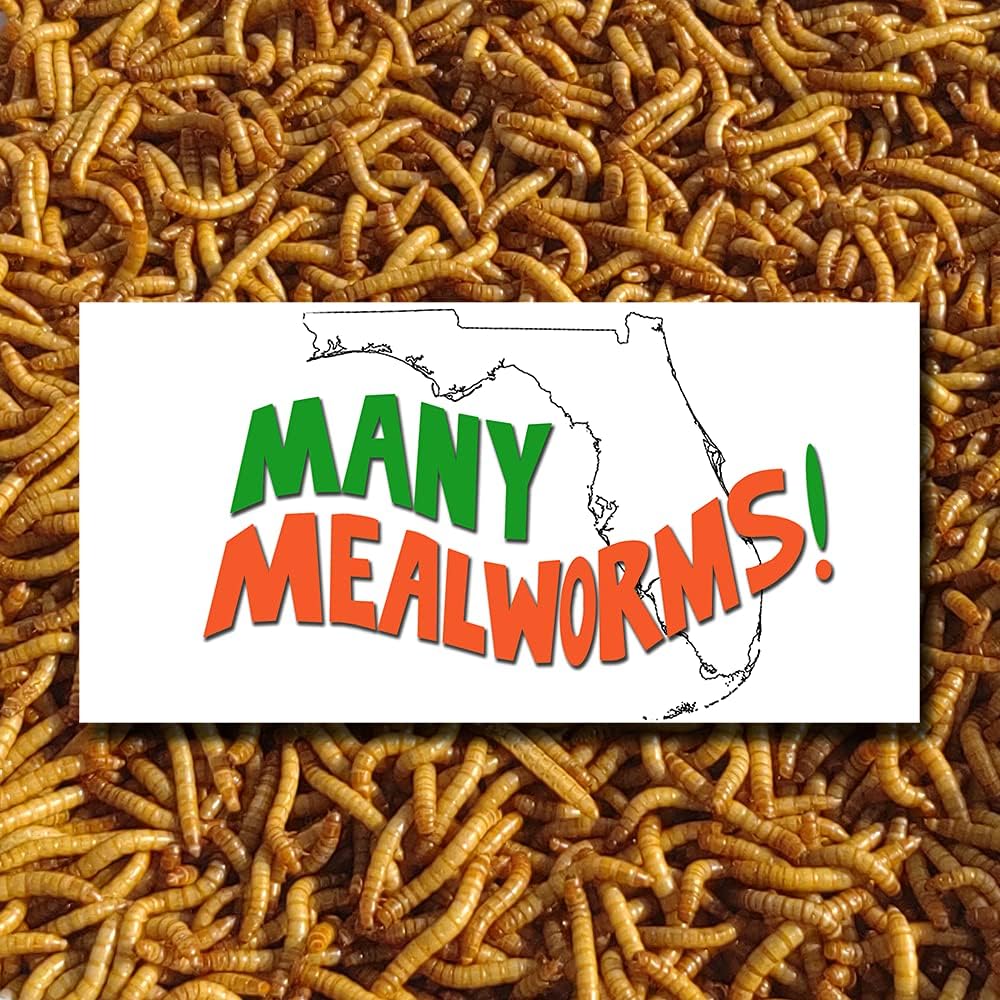 Backyard Birding & Wildlife - Mealworm 3000 Live Mealworms (Medium)-Bulk and Organic from FL