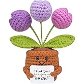 MuMyer Positive Crochet Tulip Flower, Handmade Emotional Support Knitted Tulip Flowers Inspirational Gift for Women - Thank You, Appreciation, Positive Gift for Teacher, Mom, Friend, Coworker