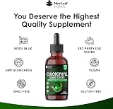 NEW LEAF PRODUCTS Liquid Chlorophyll Drops 100ml High Strength 100mg view 3