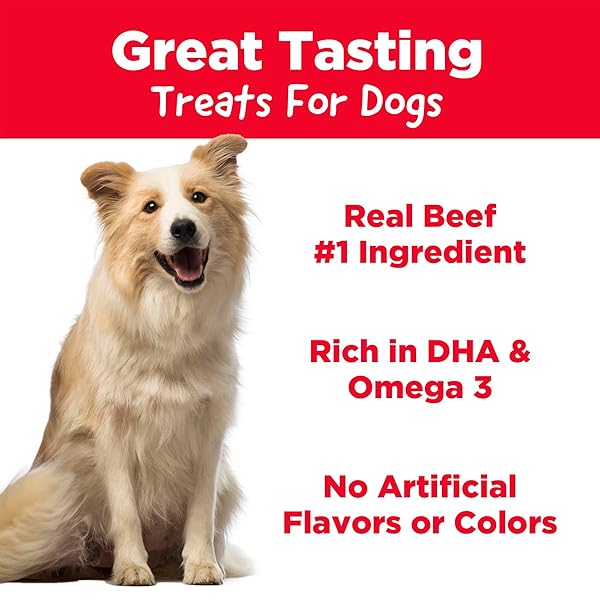 COUNTRY KITCHEN BEEF SOFT CHEW DOG TREATS, GREAT TASTING, MADE WITH REAL BEEF, RICH IN DHA & OMEGA 3, 16 OZ