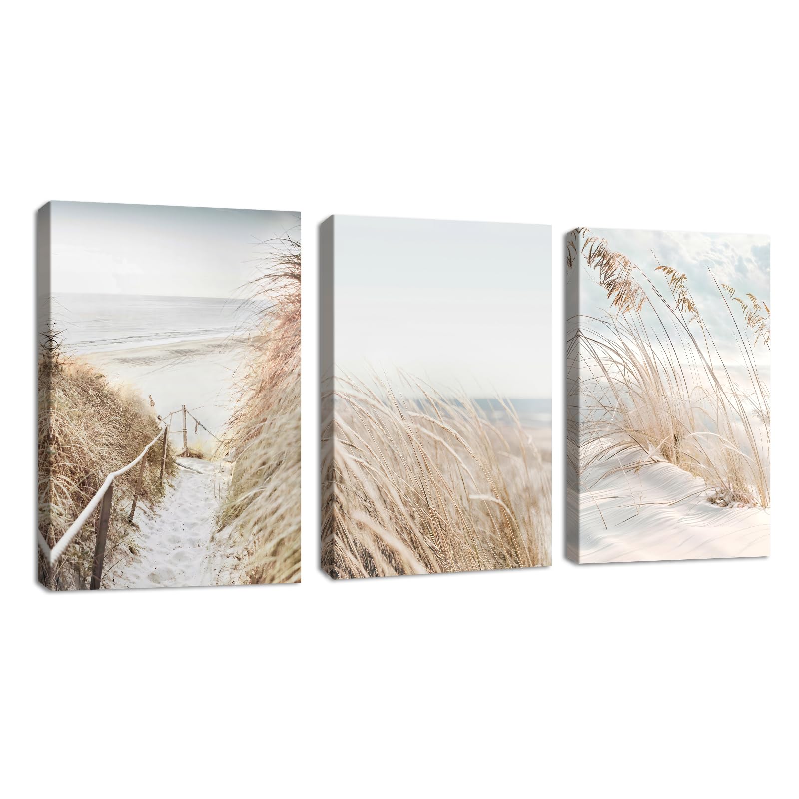FajerminArt 3Pcs Framed Canvas Wall Art Beach Snowscape Wall Painting Boho Botanical Pictures Painting on Canvas Prints for Living Room Bedroom Office Wall Decoration Stretched On Frame 30x40cmx3Pcs