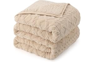 DREWIN Weighted Blanket Queen Size 15lbs, Classy Soft Jacquard Sherpa Weighted Blankets for Sleep Natural and Calming, Fluffy Cozy Sofa Bed Blanket for Winter, Beige, 60 x 80 inches