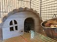 Wooden Hamster House – Pine Wood Hut With Openable Roof For Gerbils & Mice-588401