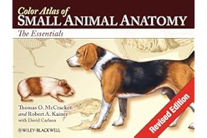 Color Atlas of Small Animal Anatomy: The Essentials